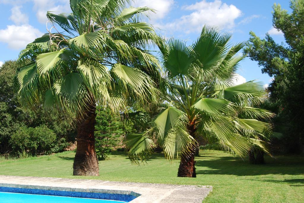 Son Vivot Casa rural Inca (Mallorca)