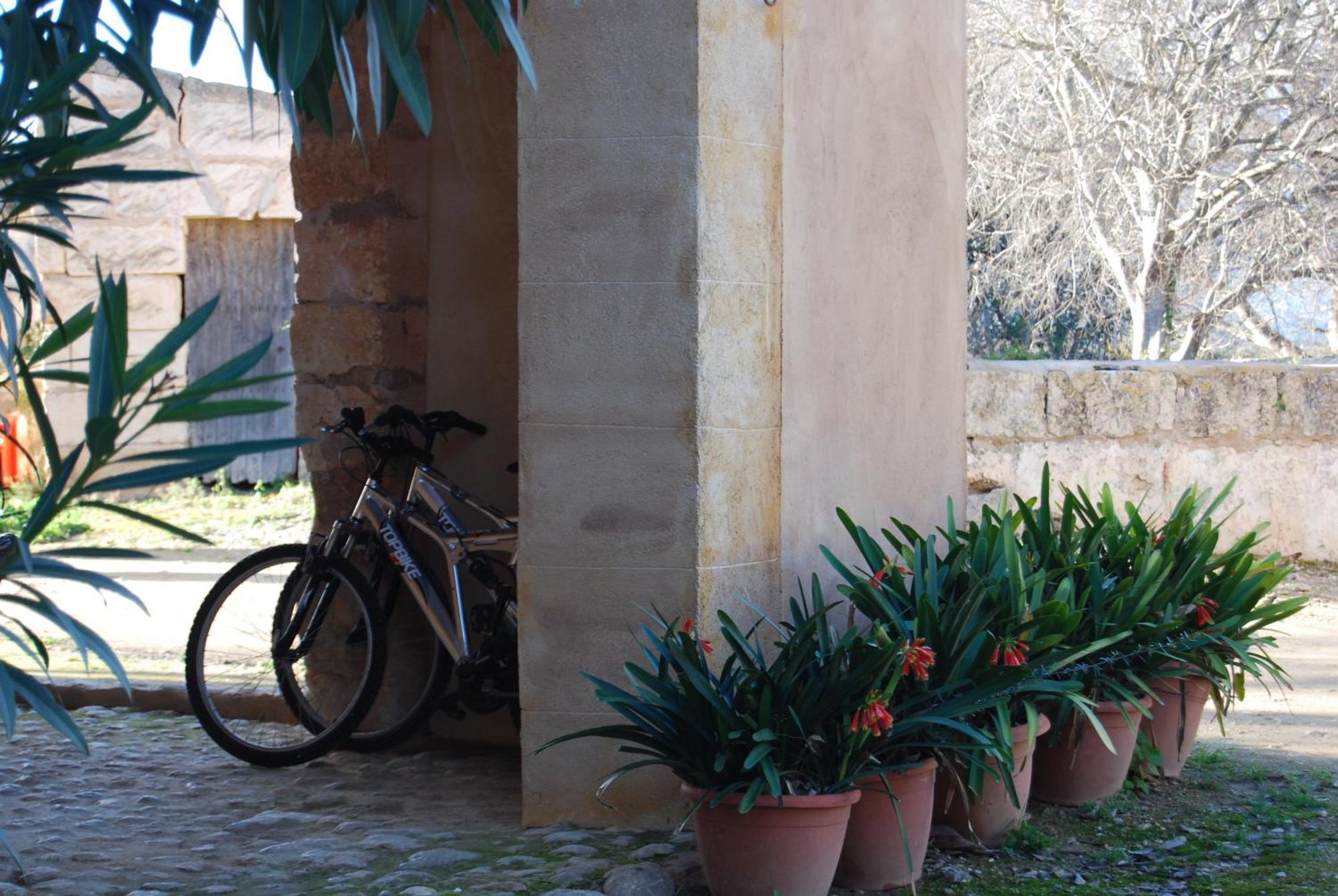 Son Vivot Casa rural