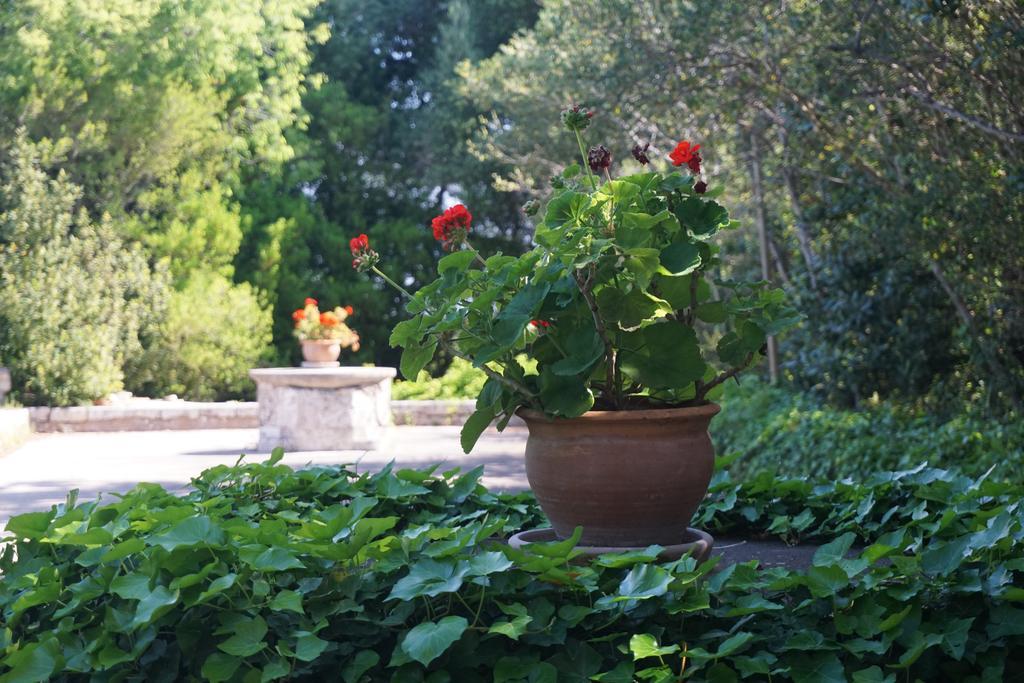 Casa rural Son Vivot