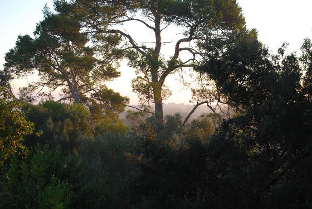 Son Vivot * Inca (Mallorca)